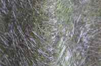 Druimindarroch fibreglass roof work